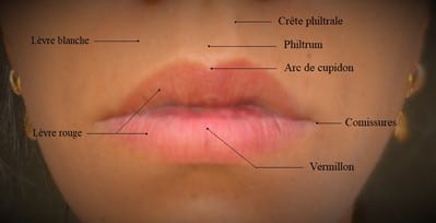 Le traitement de la lèvre blanche en médecine esthétique